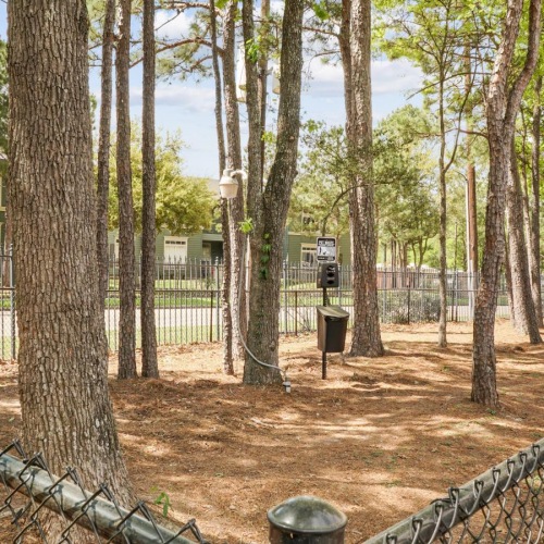 Paramount at Kingwood is a pet-friendly community! a fenced in area with trees and a building in the background